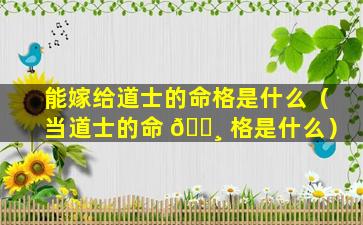 能嫁给道士的命格是什么（当道士的命 🕸 格是什么）